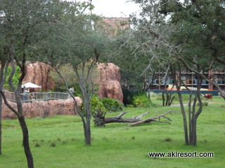 Savanna view 4